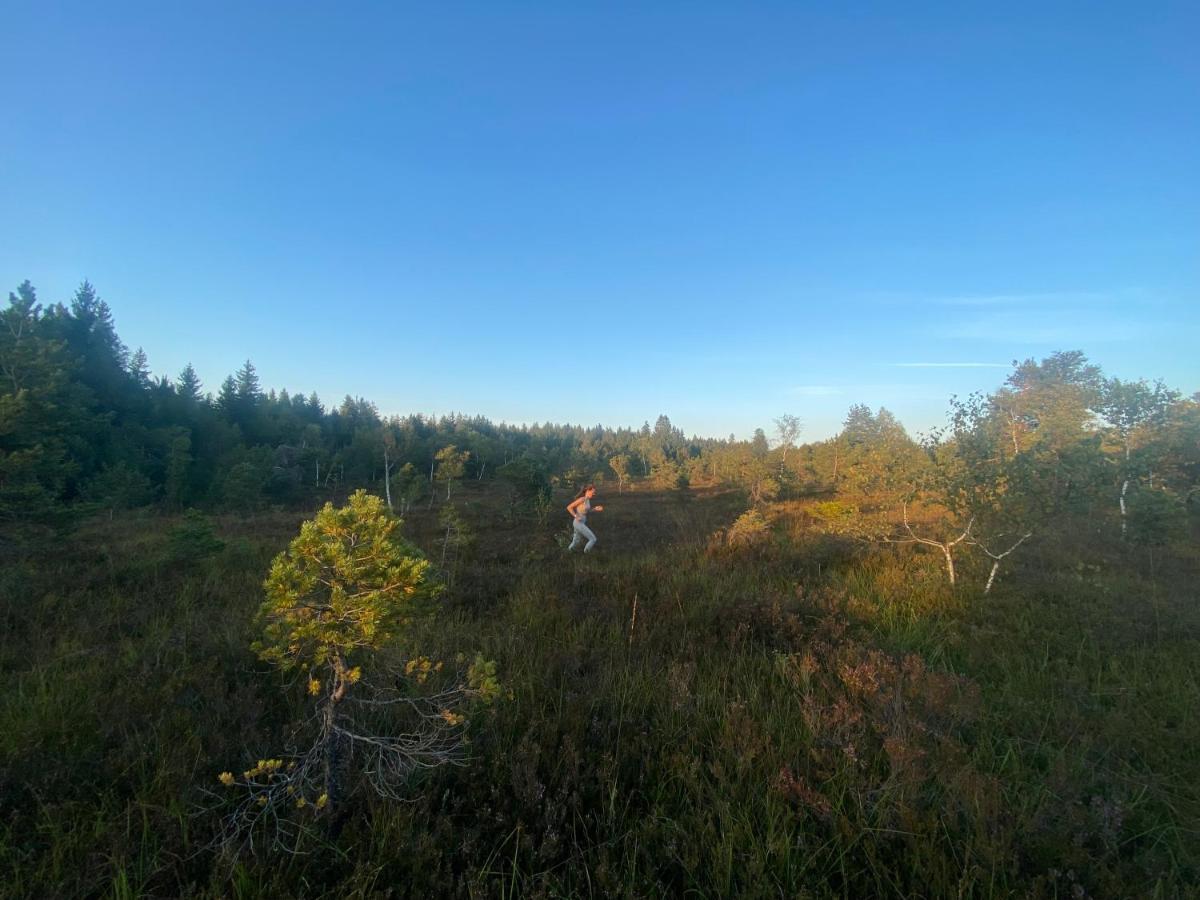 Апартаменты Am Lenzensberg 667 - Neu Mit E-Ladestation Траунштайн Экстерьер фото
